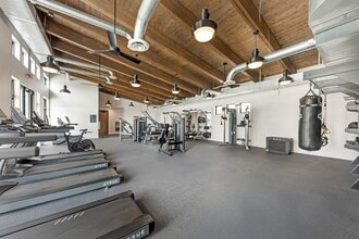 Banyan Everton Homes in Pflugerville, TX - Building Photo - Building Photo