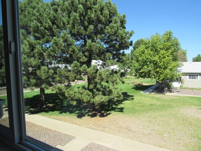 5711 W 92nd Ave in Westminster, CO - Building Photo - Building Photo