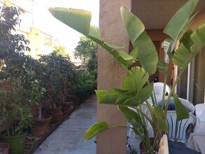 15363 Maturin Dr in San Diego, CA - Building Photo - Building Photo