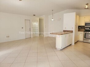 11609 Shady Tree Pl in Tampa, FL - Building Photo - Building Photo