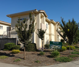 Granite Place in Santa Rosa, CA - Building Photo - Building Photo