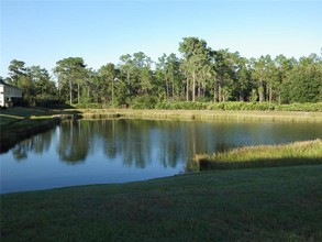 8608 Fiddleleaf Ct in Tampa, FL - Building Photo - Building Photo