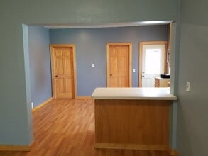 113 E Spring St, Unit 1 in Mankato, MN - Foto de edificio - Building Photo