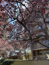 245 N Vine St in Salt Lake City, UT - Building Photo - Building Photo