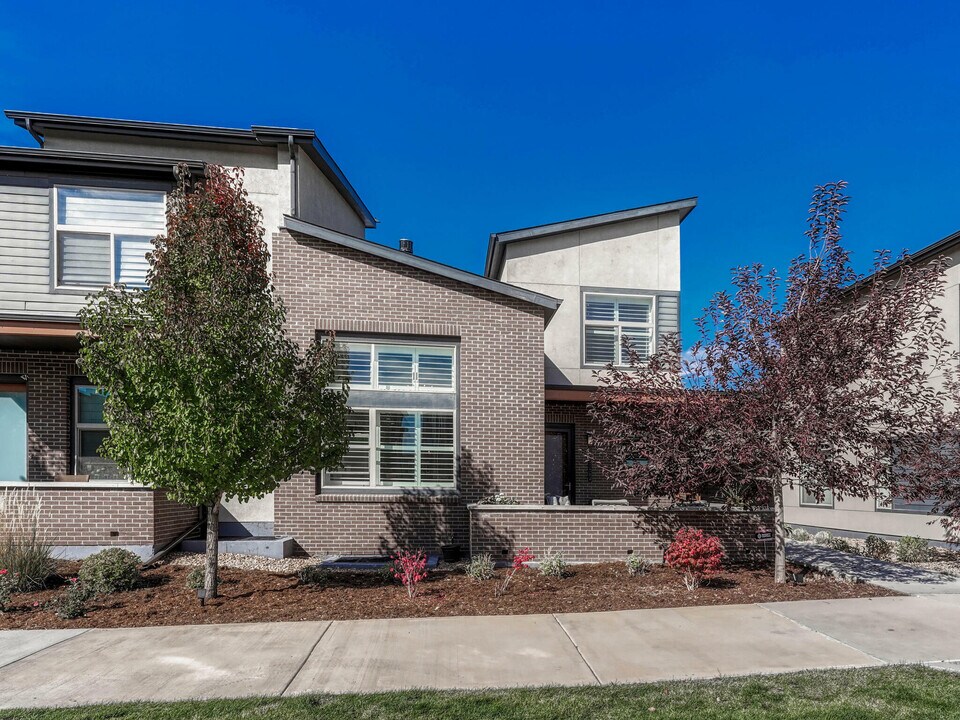 10132 Belvedere Lp in Lone Tree, CO - Building Photo