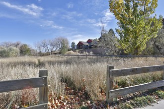 Walnut Creek Apartments in Westminster, CO - Building Photo - Building Photo