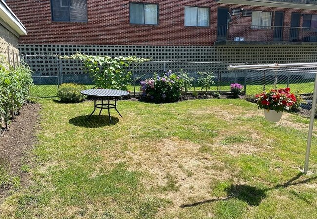 25 Bridgeport St in Worcester, MA - Building Photo - Building Photo