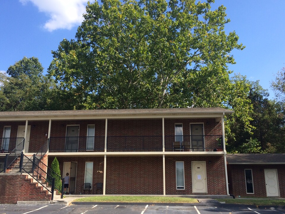 Piney Flats in Piney Flats, TN - Building Photo