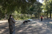 Apartments in Brandon, MS