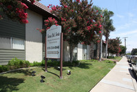 Tierra Del Norte in El Cajon, CA - Foto de edificio - Building Photo