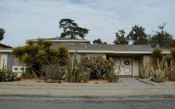 3143 Neal Ave in San Jose, CA - Building Photo - Building Photo