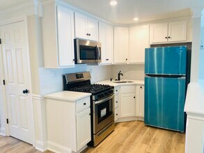 1517 Curtin St, Unit 1st Floor Apt. in Philadelphia, PA - Foto de edificio - Building Photo