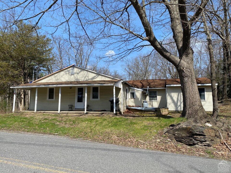 20 M Simons Rd in Cairo, NY - Building Photo