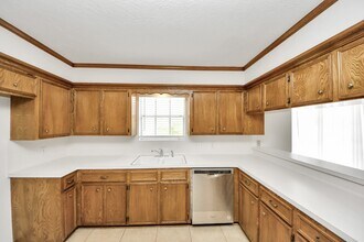 8006 Oakington Dr in Houston, TX - Building Photo - Building Photo