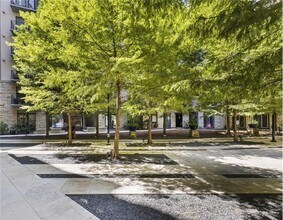 117 1/2 Sandra Muraida Way in Austin, TX - Building Photo - Building Photo