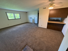 555 Roddy Rd in Salem, IL - Building Photo