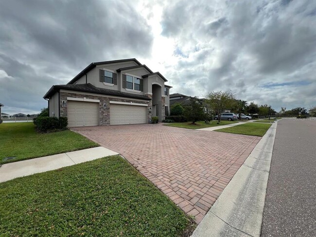 1692 Nature View Dr in Lutz, FL - Foto de edificio - Building Photo