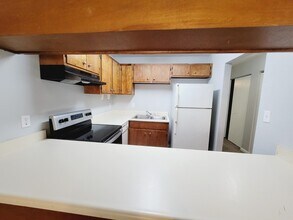 1257 E Orange Ave in Tallahassee, FL - Building Photo - Building Photo