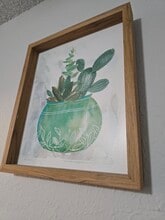 4812 Spring Meadow Cove in Austin, TX - Building Photo - Building Photo