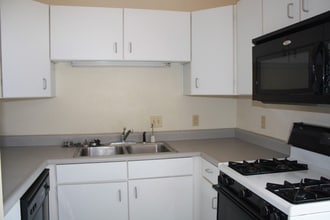 118 E Ash St in Albion, MI - Building Photo - Building Photo