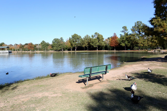 Apartamentos Alquiler en Katy, TX