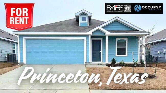 property at 913 Sourgum St