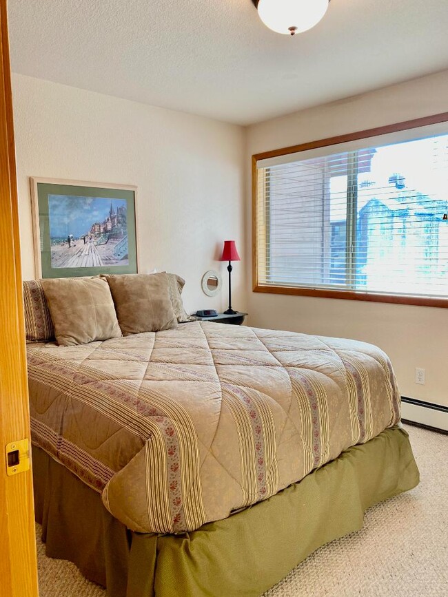 102 Sawyer Cir in Winter Park, CO - Building Photo - Building Photo