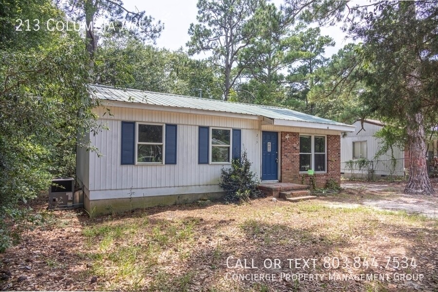 213 Columbia Ave NE in Aiken, SC - Building Photo