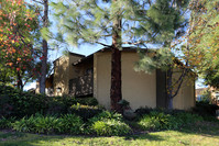 Village Pines in Poway, CA - Building Photo - Building Photo