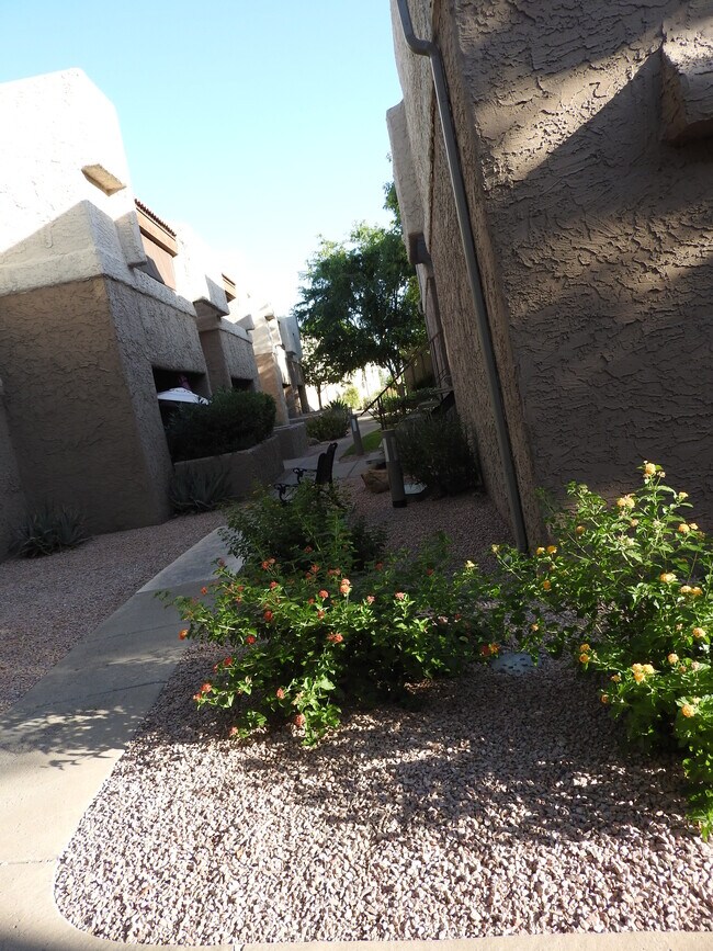 4554 E Paradise Village Pky N Rentals in Phoenix, AZ