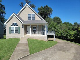 2909 Granny Ct in Clarksville, TN - Building Photo