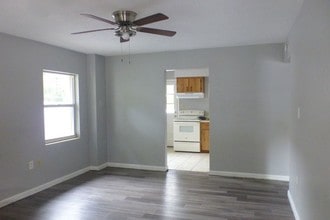 418 Euclid Ave in Leesburg, FL - Building Photo - Building Photo