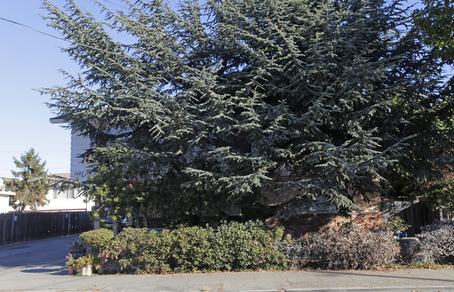 1583 Pacific Ave in Alameda, CA - Foto de edificio - Building Photo