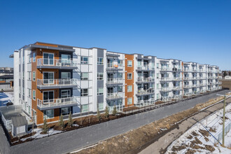 The Pinnacle in Calgary, AB - Building Photo - Building Photo