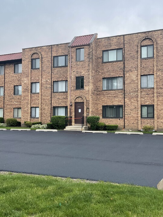 251 E Rimini Ct, Unit 2A in Palatine, IL - Foto de edificio