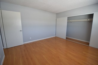 4930 Whitsett Ave in Valley Village, CA - Building Photo - Building Photo