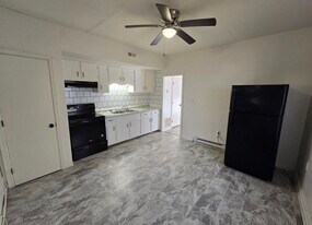 663 Pegram St in Petersburg, VA - Building Photo