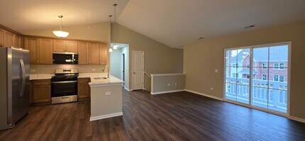 386 Timber Pointe Dr in Joliet, IL - Building Photo - Building Photo