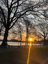 75 Avalon Ave in Quincy, MA - Building Photo - Building Photo