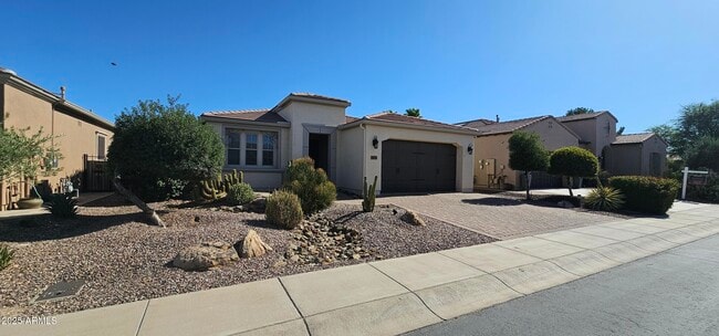 1674 E Azafran Trail in San Tan Valley, AZ - Building Photo - Building Photo