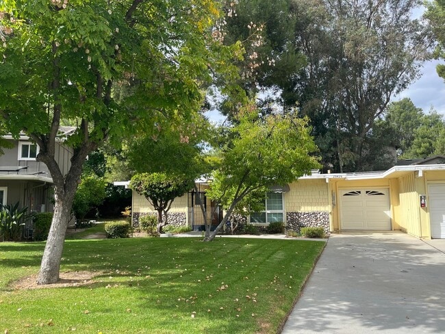property at 28426 Princessa Cir