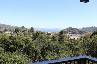 40 Harbor Oak Dr in Tiburon, CA - Building Photo