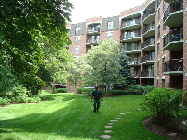 511 Aurora Ave in Naperville, IL - Building Photo