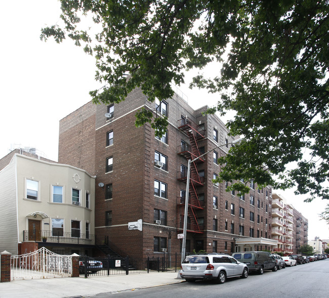 245 Hawthorne St in Brooklyn, NY - Building Photo - Building Photo