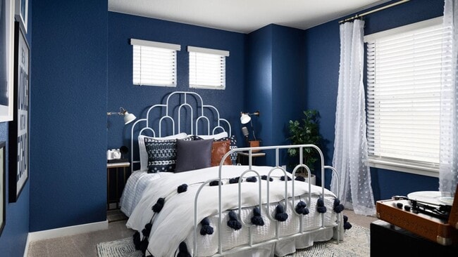 9051 Winding Gln Ln in Parker, CO - Building Photo - Building Photo