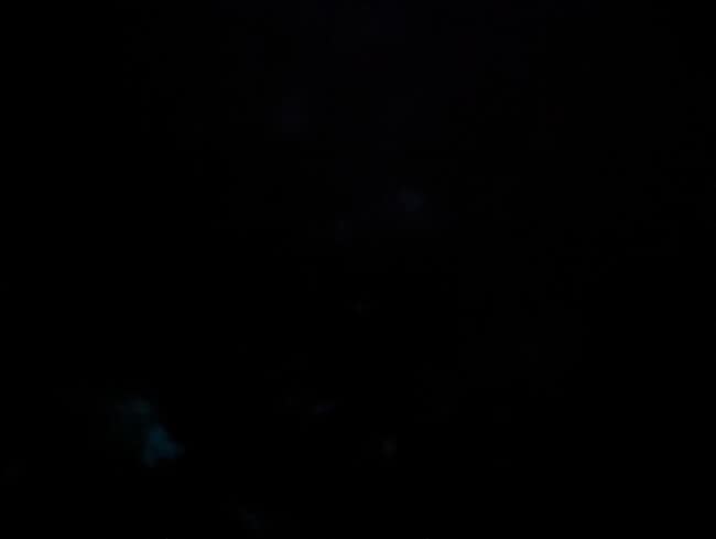 8125 Bayou Bend Blvd, Unit Home