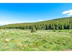 1204 Zebulon St in Fairplay, CO - Building Photo - Building Photo