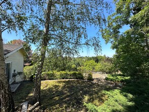 12660 Viscaino Ct in Los Altos Hills, CA - Building Photo - Building Photo