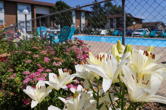 Meheli Pines Apartments in Springfield, MO - Foto de edificio - Building Photo