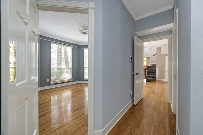 12002 Moorcreek Dr in Houston, TX - Building Photo - Building Photo